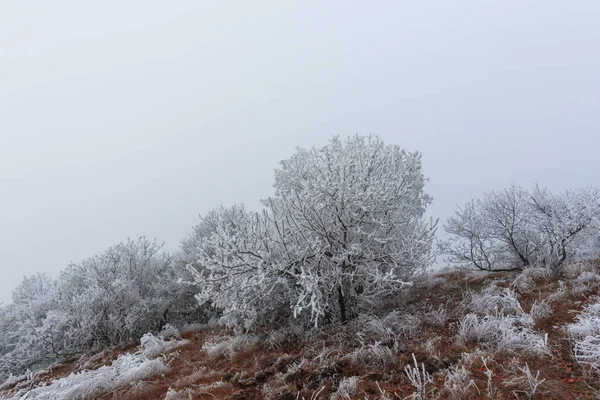 Холодная Погода Зимний Пейзаж — стоковое фото