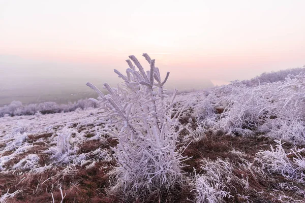 Serin Hava Kışın Kırsal Alan — Stok fotoğraf