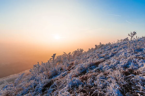 Морозна Трава Взимку Сільській Місцевості Пейзажні Пагорби Небо Заходу Сонця — стокове фото