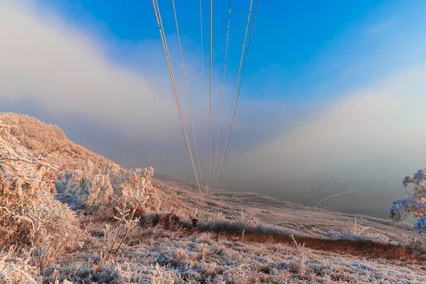 Mroźna Trawa Zimowym Krajobrazie Liniach Elektrycznych — Zdjęcie stockowe