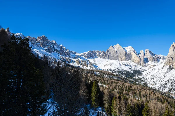 Schilderachtige Rotsachtige Bergen Bosbomen — Stockfoto