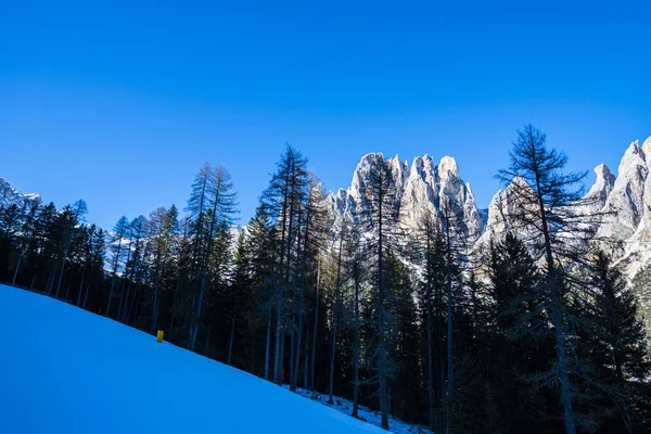 Schilderachtige Rotsachtige Bergen Bosbomen — Stockfoto