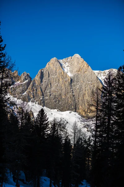 Montagne Rocciose Panoramiche Alberi Forestali — Foto Stock