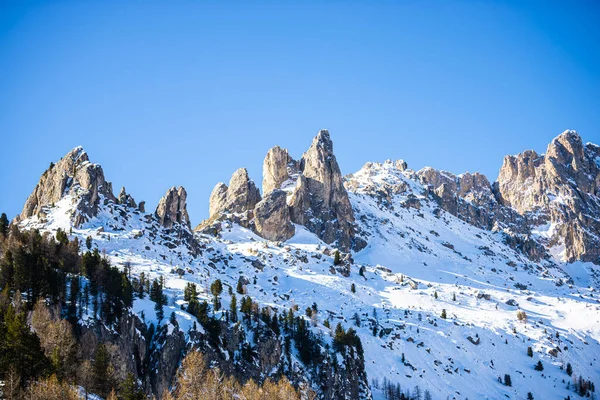 Montagne Rocciose Panoramiche Alberi Forestali — Foto Stock