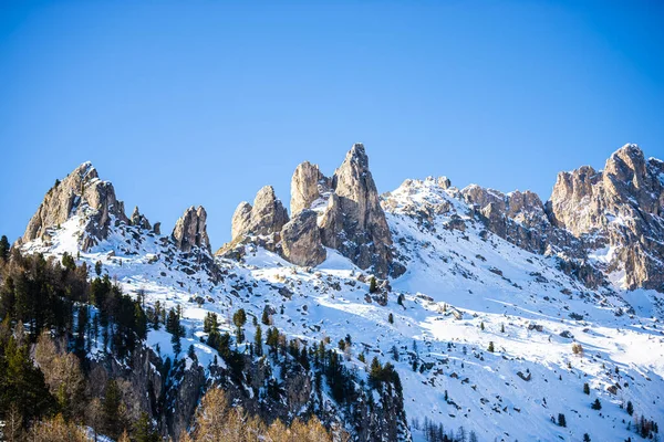 Montañas Rocosas Escénicas Árboles Forestales — Foto de Stock