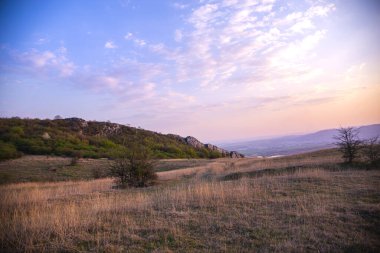 İlkbahar mevsiminde ağaçlar ve bitkilerle dolu kırsal alan