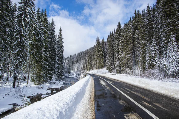 Río Camino Invierno Bosque Con Árboles — Foto de Stock