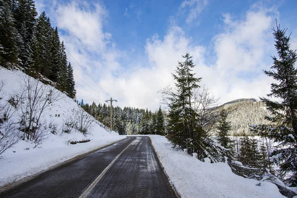 Camino Invierno Bosque Con Árboles — Foto de Stock