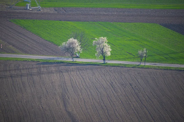 Letecký Pohled Krajinu Krajiny Zemědělské Půdy Plantáže — Stock fotografie