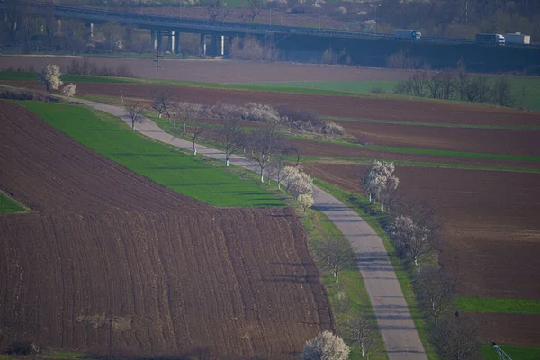 Vista Aérea Sobre Paisagem Rural Plantações Terras Agrícolas — Fotografia de Stock