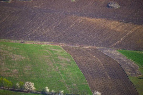 Vanuit Lucht Uitzicht Landschap Landbouwgrond Plantages — Stockfoto