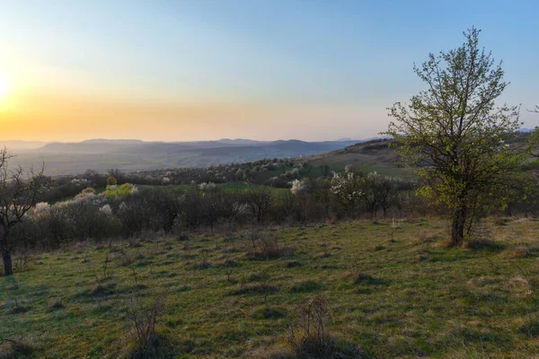 Paesaggio Campagna Con Alberi Piante Nella Stagione Primaverile — Foto Stock