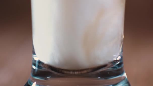 Kahverengi Arka Planda Bir Bardak Bir Kupa Lezzetli Bira Standı — Stok video