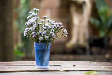 Yumuşak odak yakın çekim çiçek