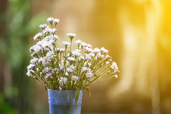 Soft-focus close-up of flowers — Stock Photo, Image
