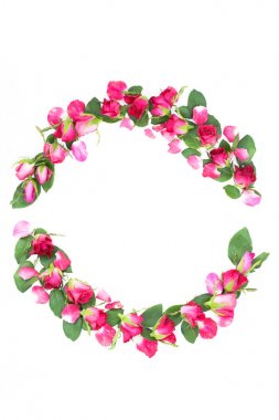 Yaratıcı çeşitli çiçek tanzimi. Düz lay, çiçek Yarışması