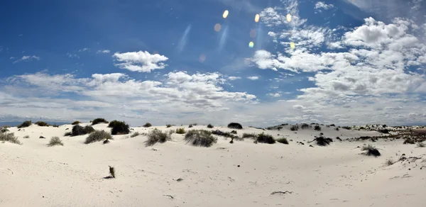 Białe piaski w Nowym Meksyku — Zdjęcie stockowe