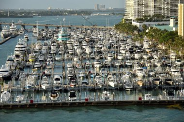 Tekne marina Miami Beach, Florida
