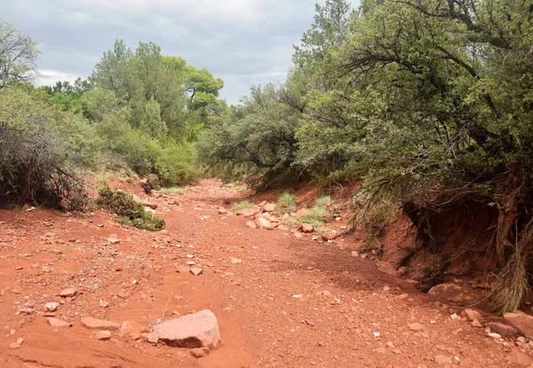 Nehir yatak Arizona Kuru