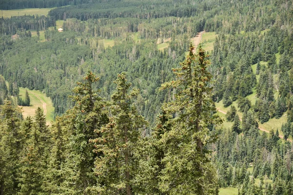 Górskiej scenerii z Arizony — Zdjęcie stockowe