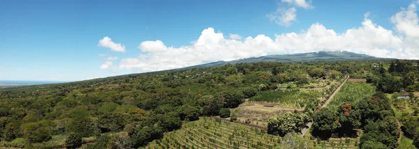 Lejtők Mauna Loa Big Island Hawaii Légi Panoráma — Stock Fotó