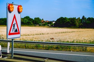 Anayolda yol çalışmaları ve yeni biçilmiş tarlada küçük bir karaca.
