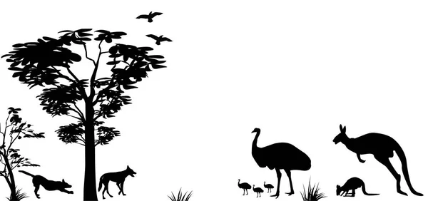 Animaux sauvages de l'Australie kangourou, emu et dingos — Image vectorielle