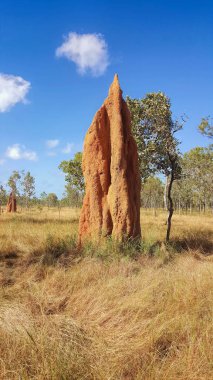 Huge Cathedral termite mound  clipart