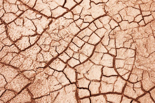 Suelo fangoso seco agrietado — Foto de Stock