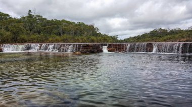 Meyve yarasa Falls Queensland