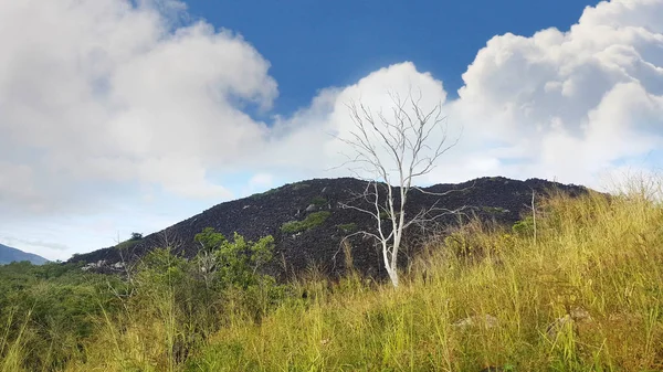 Montaña negra cerca de Cooktown Australia — Foto de Stock