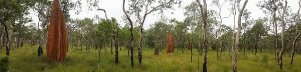 Outback Australia con cumuli di fango — Foto Stock