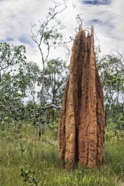 Single Termite Mound  clipart