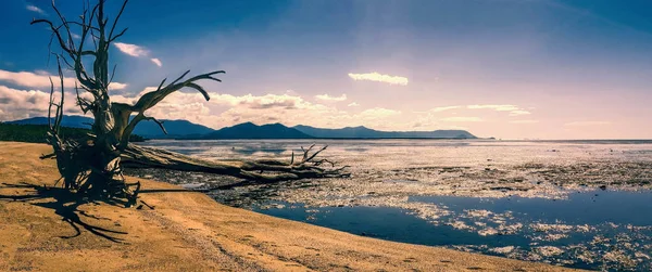 Strand in der Nähe von Cairns Australien — Stockfoto