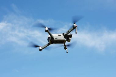 Mor orkide siyah arka plan