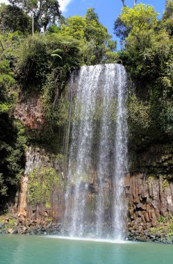 Millaa Millaa Falls bir miras listelenen Cairns yakınındaki bölgedir