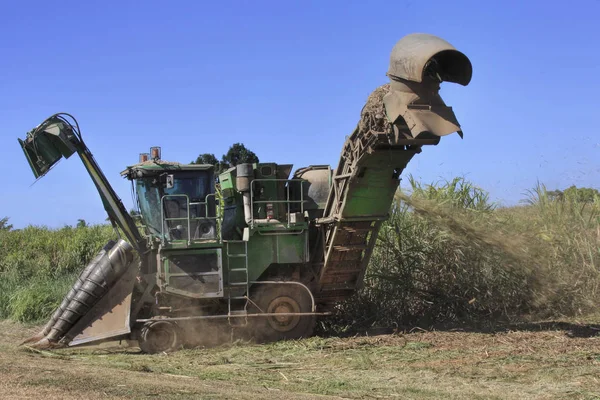 Cairns view of  cane harvester — Stock Photo, Image
