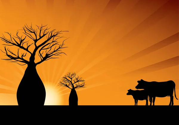 Boab trees and two cows — Stock Vector