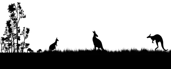 Schwarze Silhouette von Koala und Kanagroos auf weißem Hintergrund. — Stockvektor