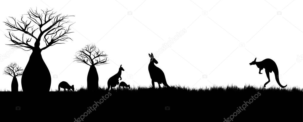 Kangaroos hopping in the outback of Australia