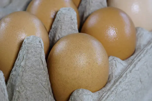 Huevos frescos en una caja — Foto de Stock