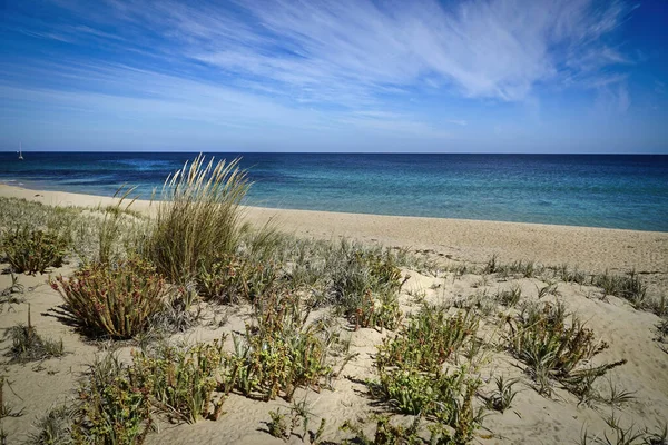 Bunbury, Avustralya 'nın batı Austra eyaletinde bir kıyı kenti. — Stok fotoğraf