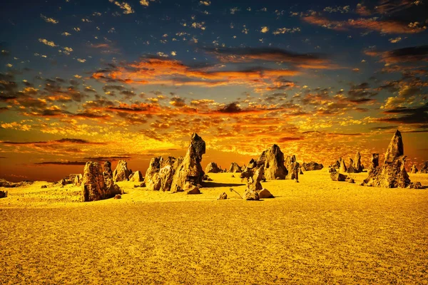 Pinnacles Västra Australien — Stockfoto