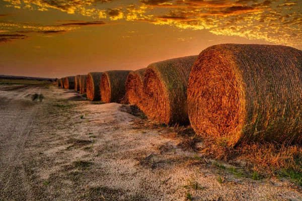 Empilements ronds de foin au coucher du soleil — Photo