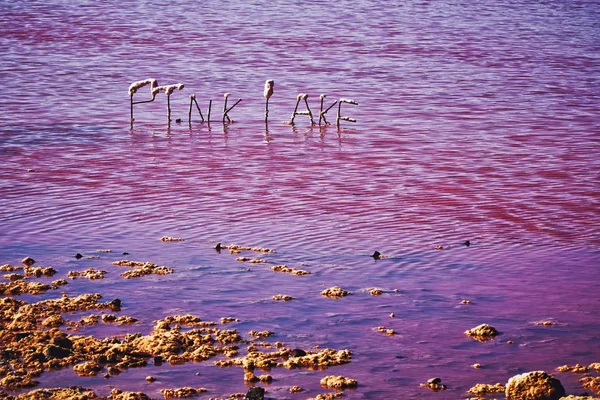 Hutt Lagoon pink salt lakes — Stockfoto