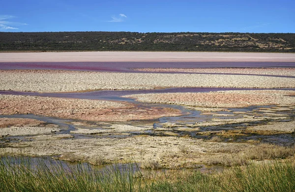 Hutt lagune rosa salzwasserseen — Stockfoto