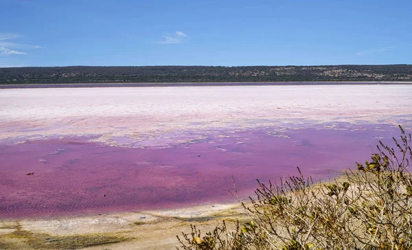 Hutt Lagoon pink salt lakes — ストック写真