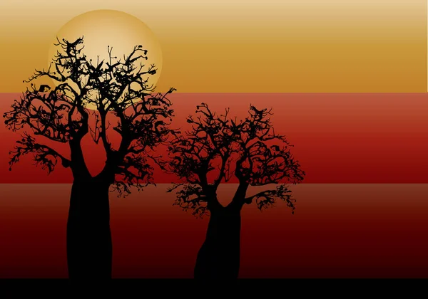 Boab arbre avec trois couleurs différentes en arrière-plan — Image vectorielle