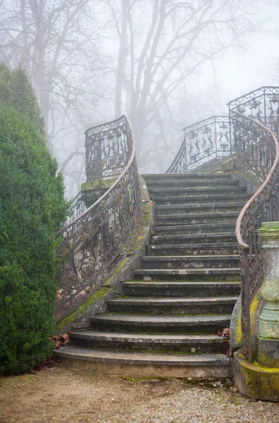 Alte Treppe eines Palastes — Stockfoto