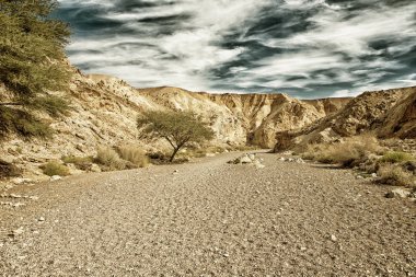Red Canyon turistik cazibe akasya ağaçları (Hdr ile giriş